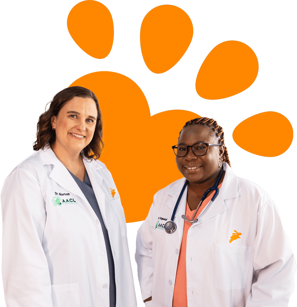 Two happy Dotsure vets