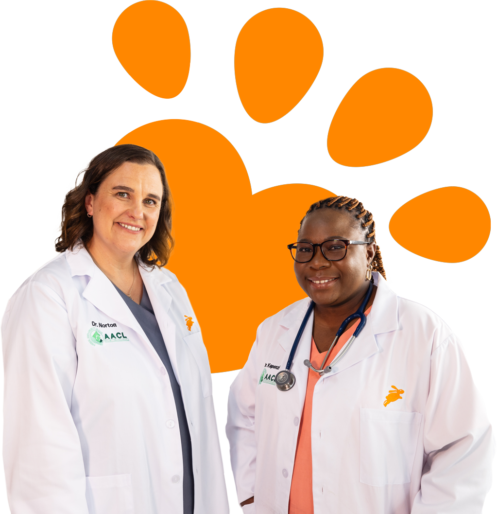 Two happy Dotsure vets