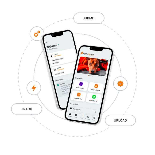 An application showcase.