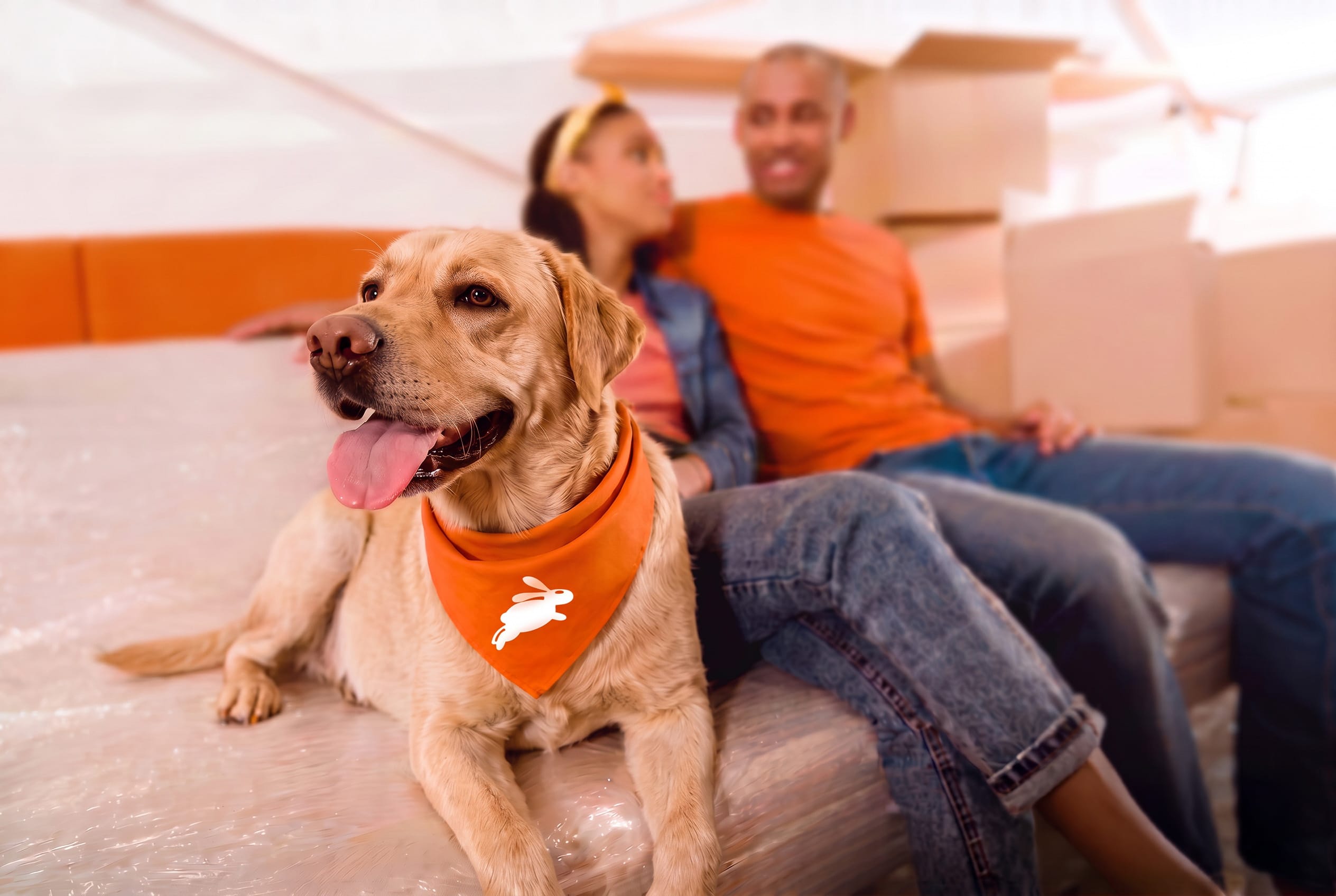 Couple sitting next to their dog.