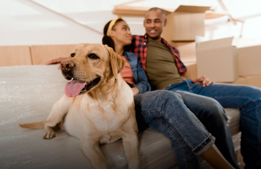 Couple sitting next to their dog.