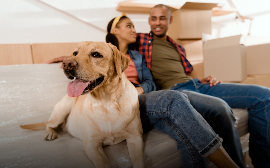 Couple sitting next to their dog.