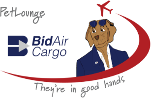 bid air logo