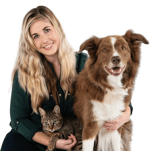 Pet Insurance Online From Only R85pm dotsure.co.za